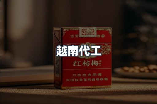 越南代工
